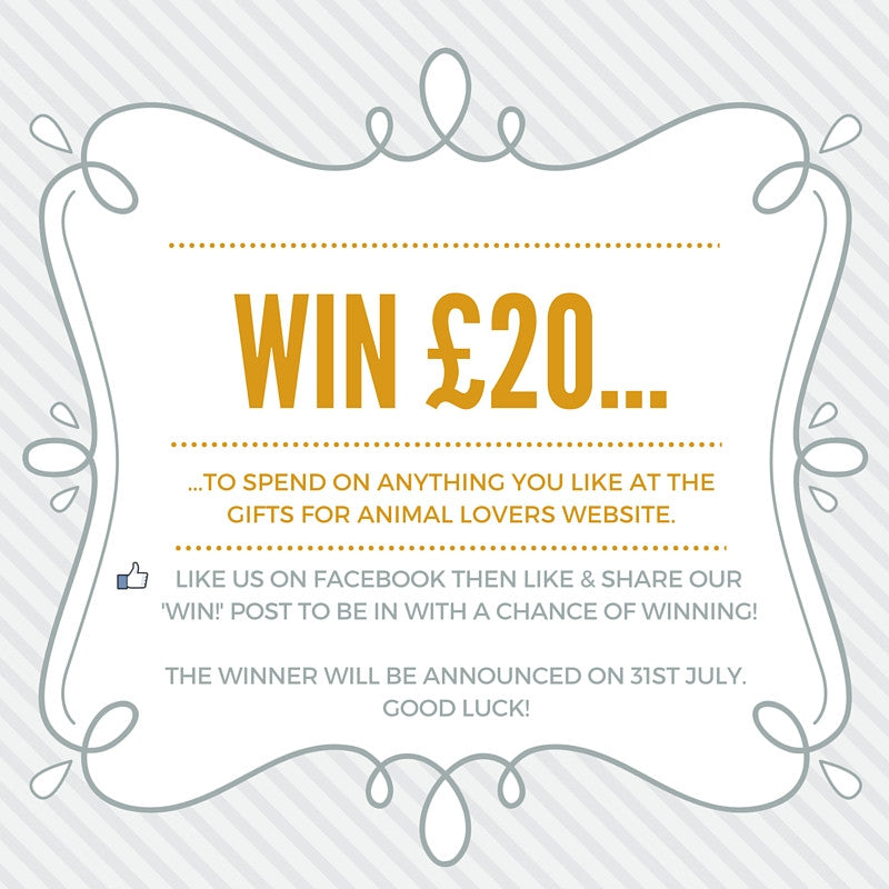 Fancy winning yourself a £20 voucher to spend on our website?